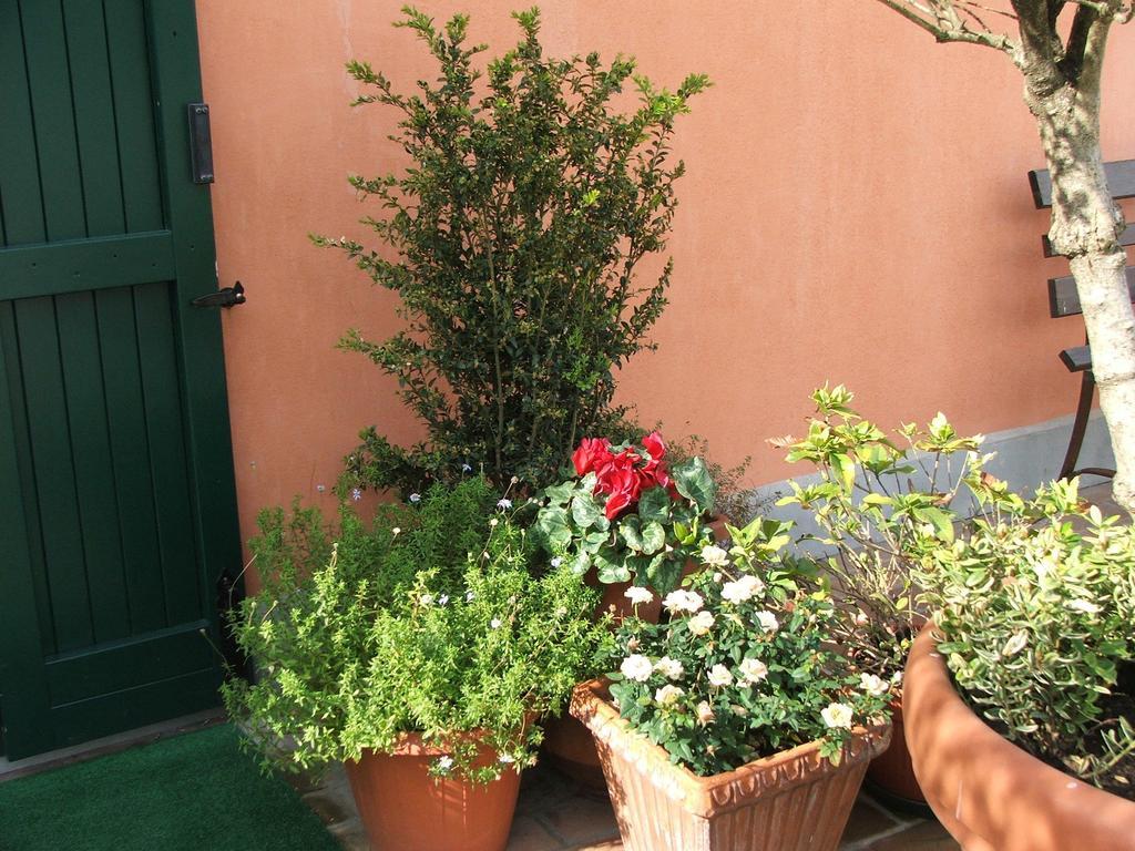 Locanda Belfiore Bolonya Dış mekan fotoğraf
